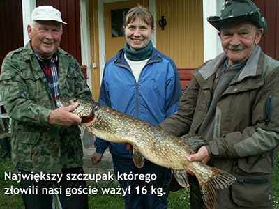 Szczupak złowiony w Szwecji