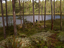 Park narodowy Norra Kvills